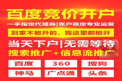 SEM服务托管：提升广告效果的成功案例解析